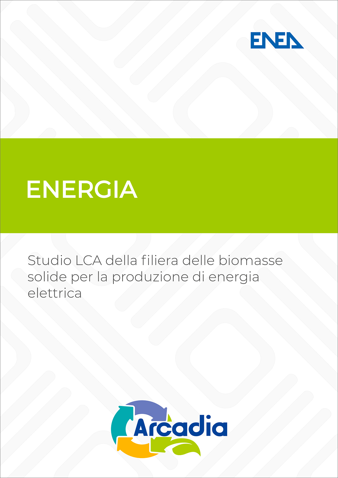 cover pubblicazione biomasse